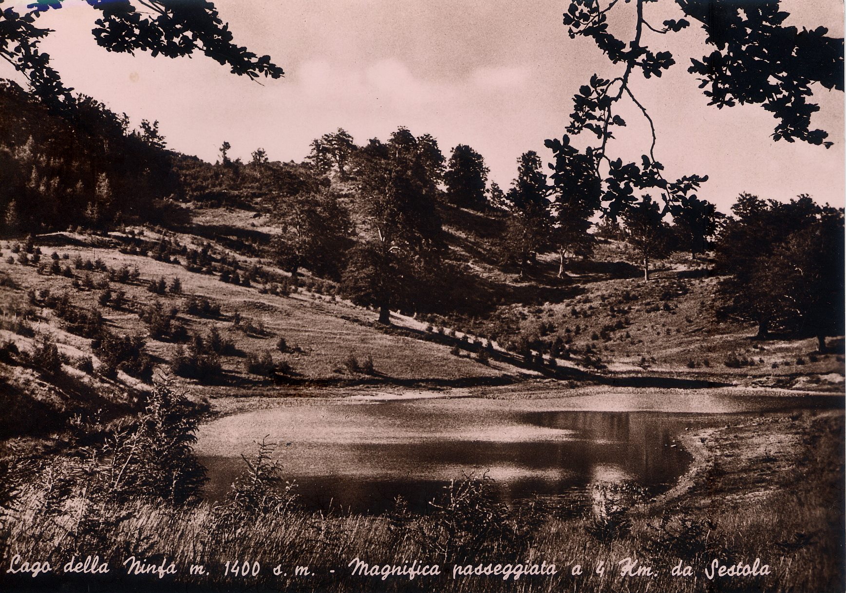 cartolina d'epoca lago della ninfa 
