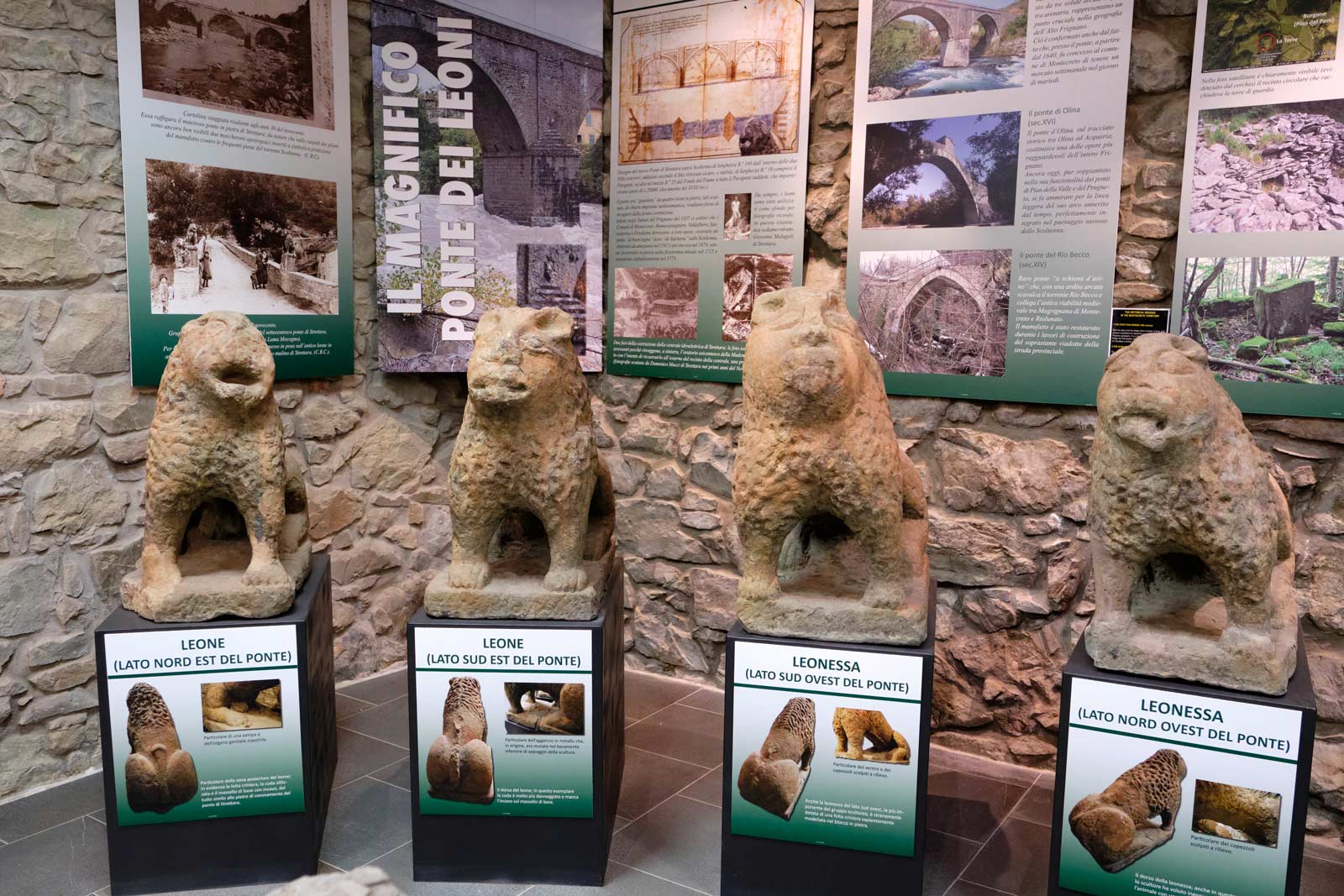 Museo La Casa dei Leoni di pietra